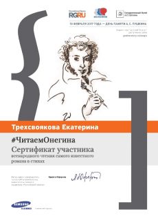 Сертификат1341_Трехсвоякова
